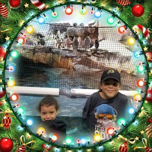 Meet your Posher, Karl